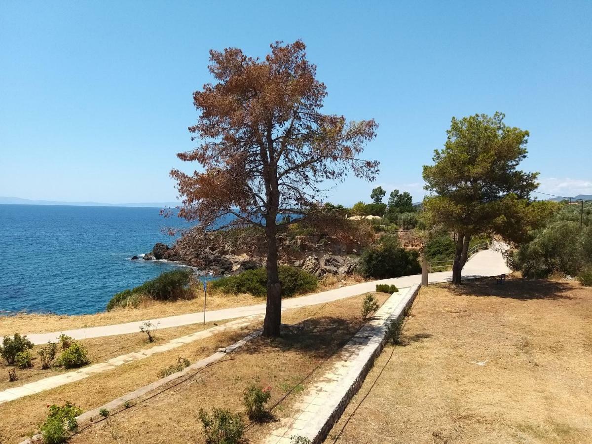 Stoupa Properties Rooms Экстерьер фото