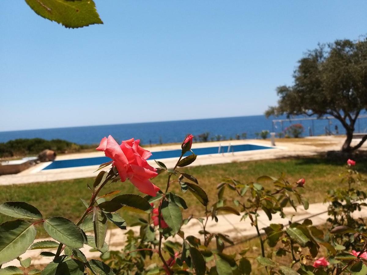Stoupa Properties Rooms Экстерьер фото
